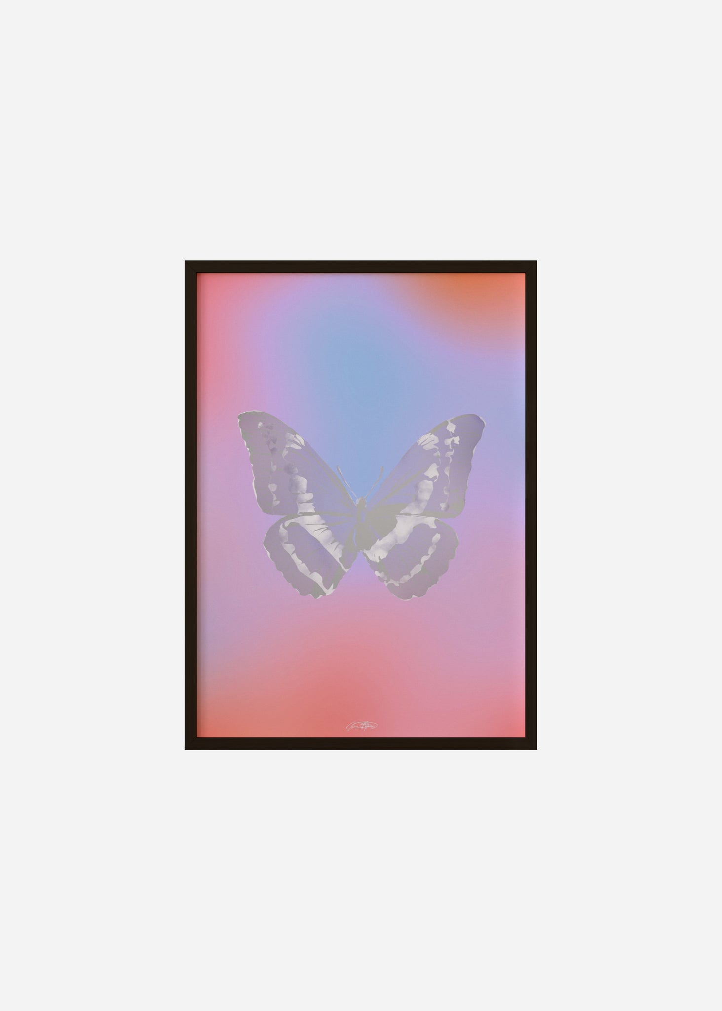 Butterflies / Psyche 100 Framed Print