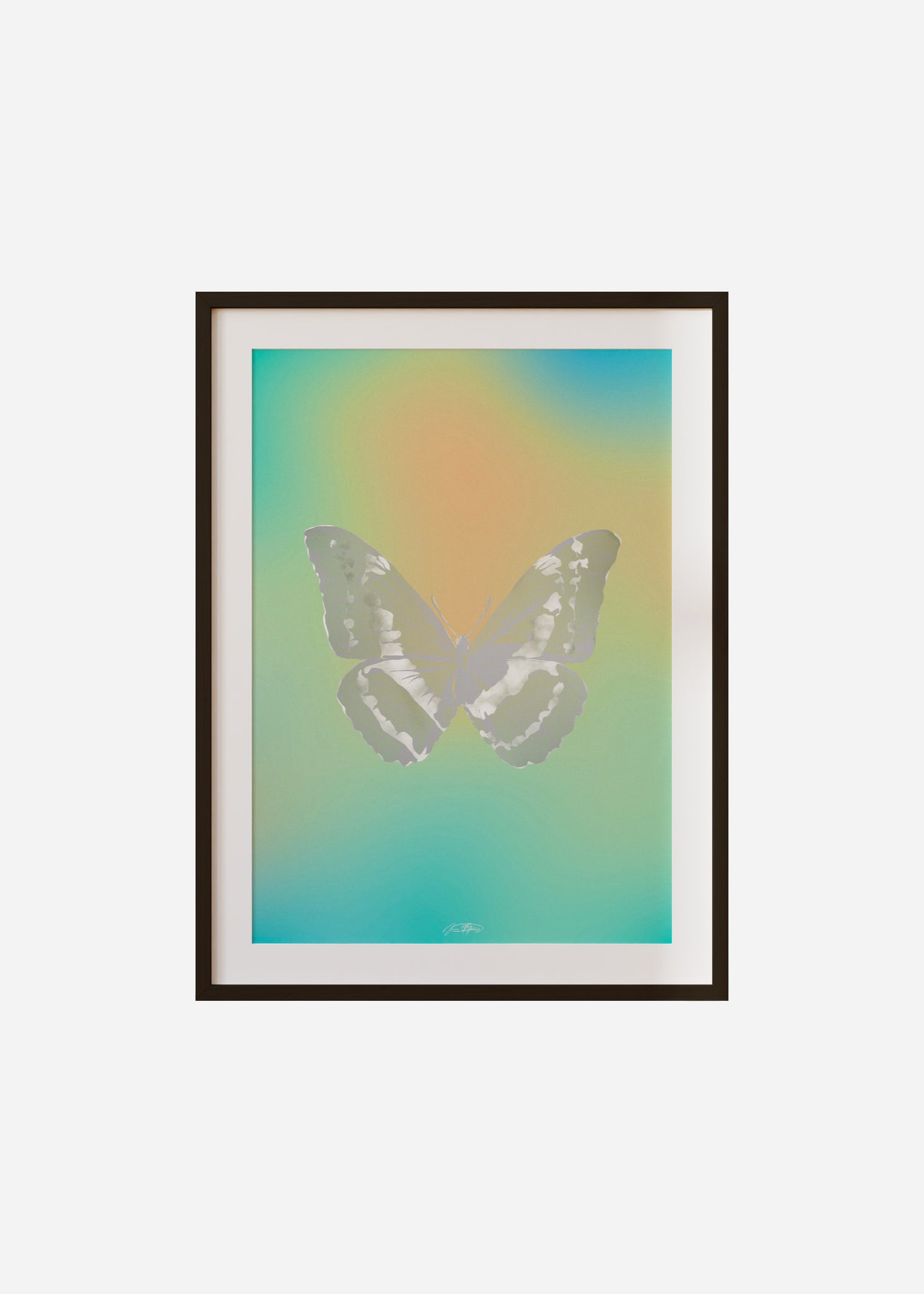 Butterflies / Psyche 101 Framed & Mounted Print