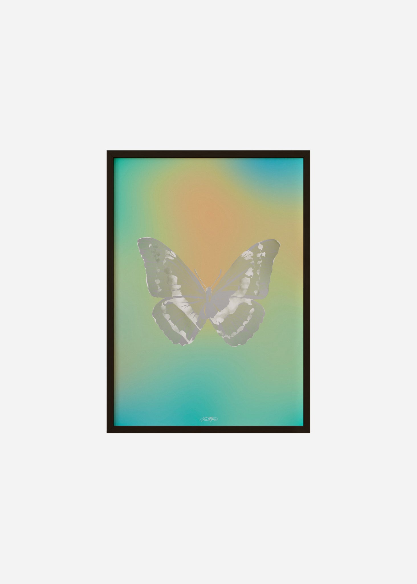 Butterflies / Psyche 101 Framed Print