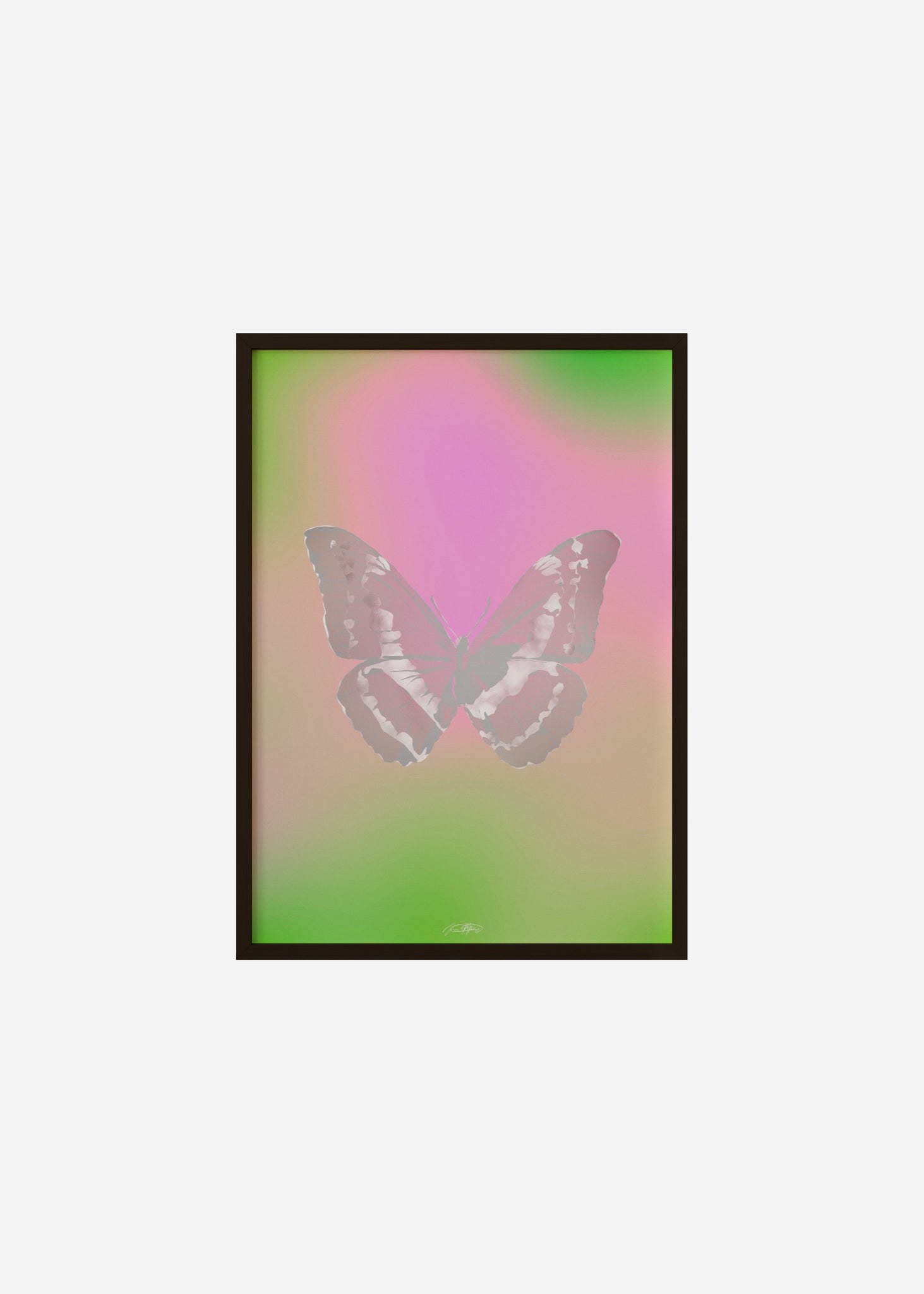 Butterflies / Psyche 103 Framed Print
