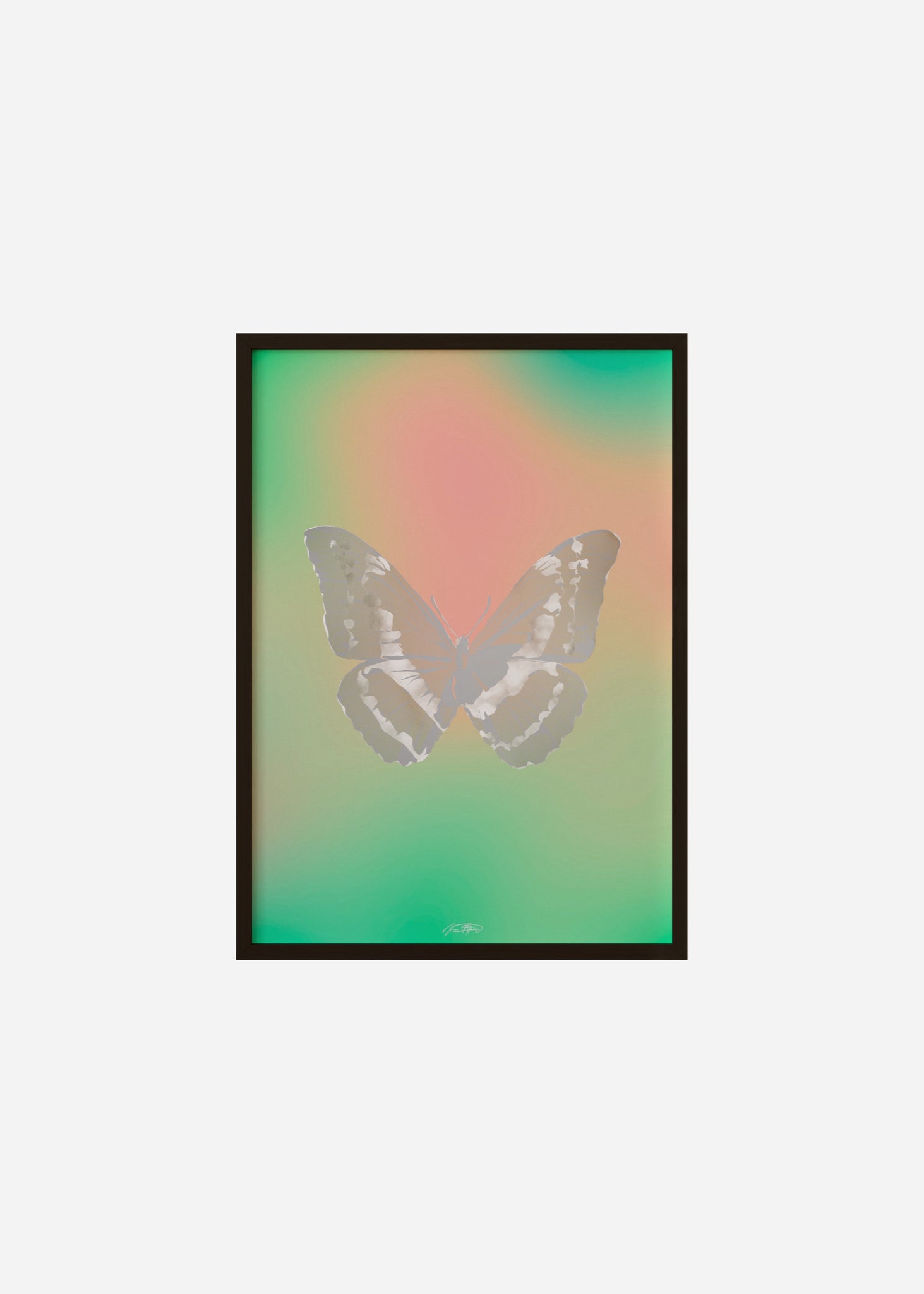 Butterflies / Psyche 104 Framed Print