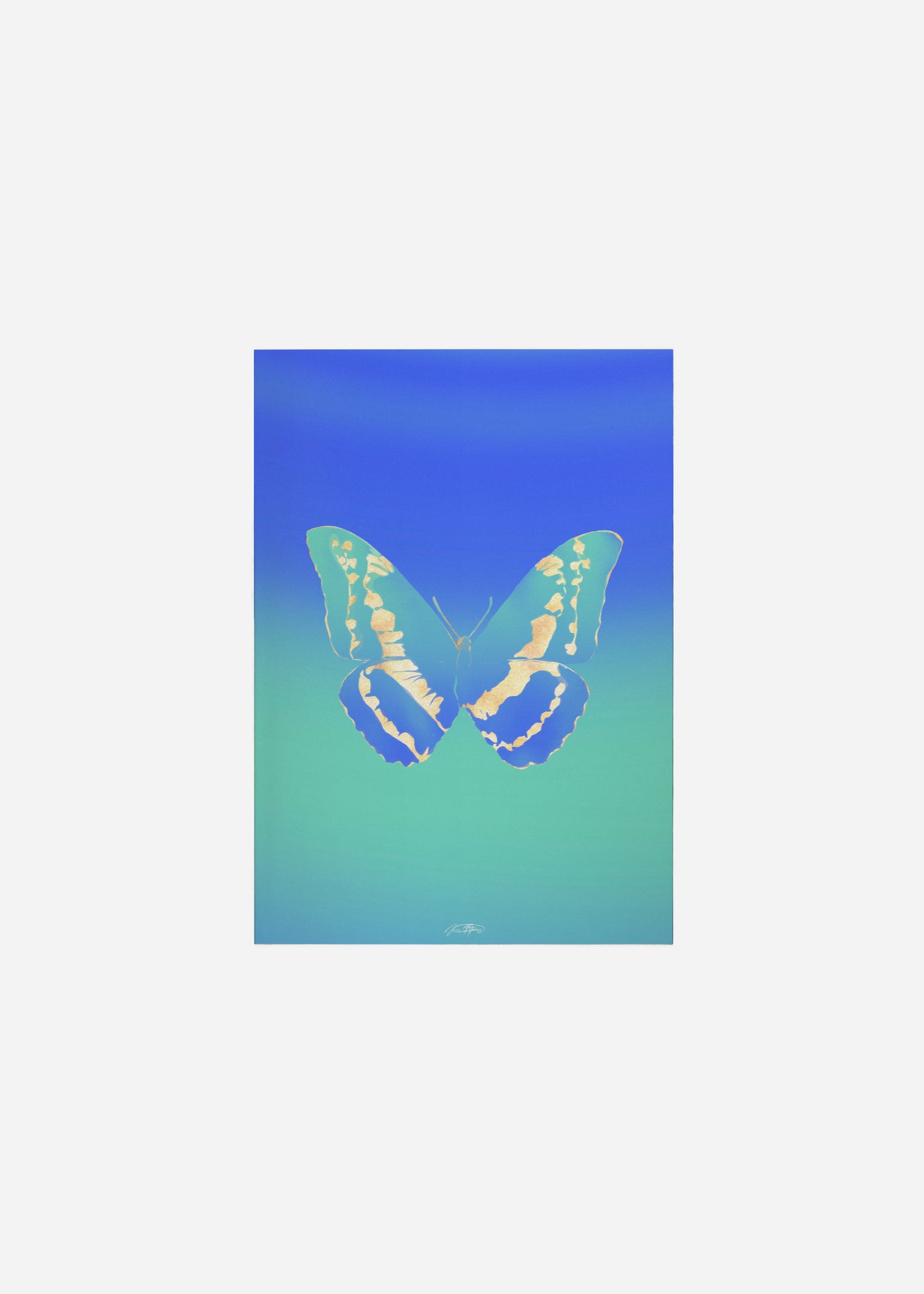 Butterflies / Psyche 105 Fine Art Print