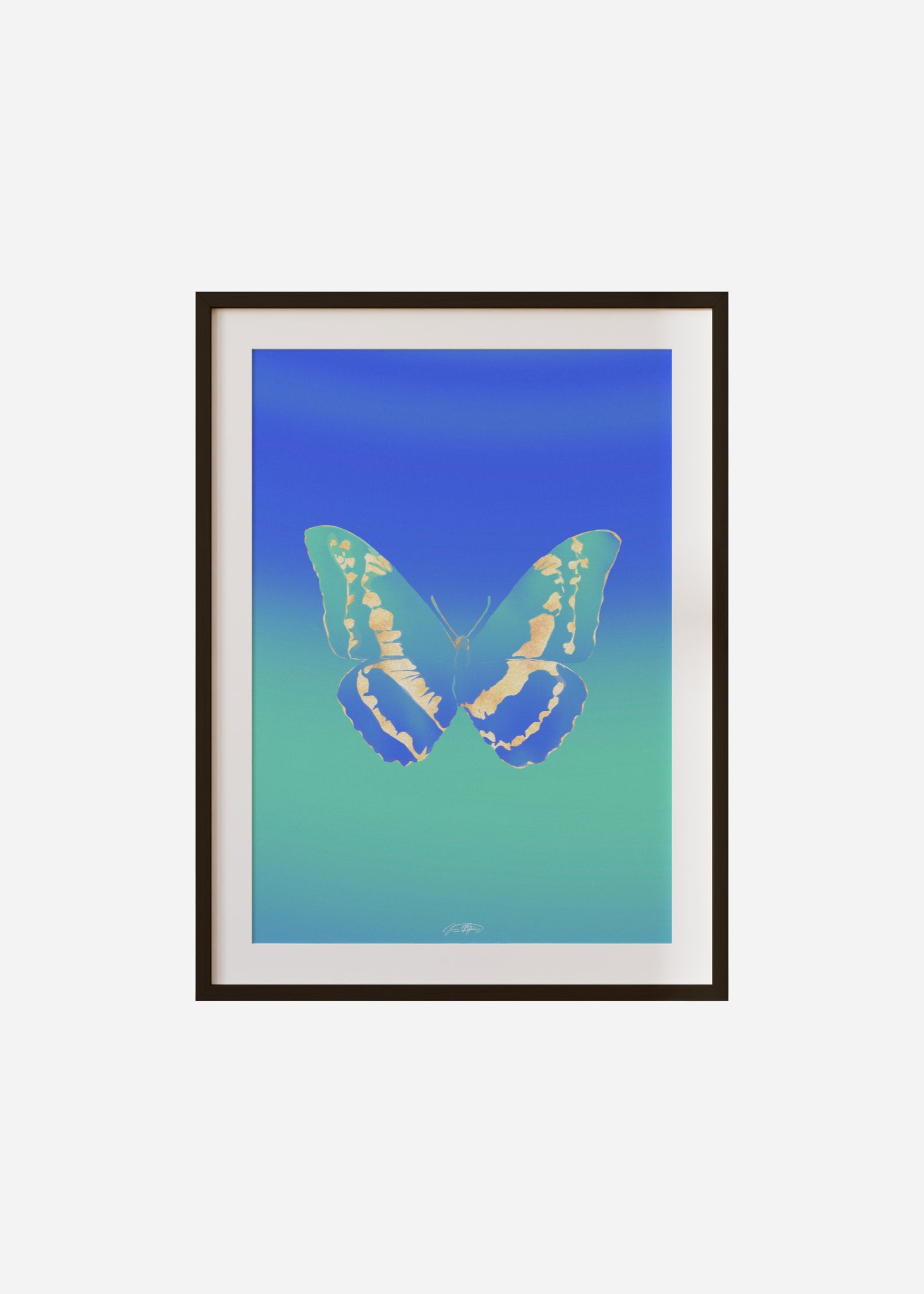 Butterflies / Psyche 105 Framed & Mounted Print