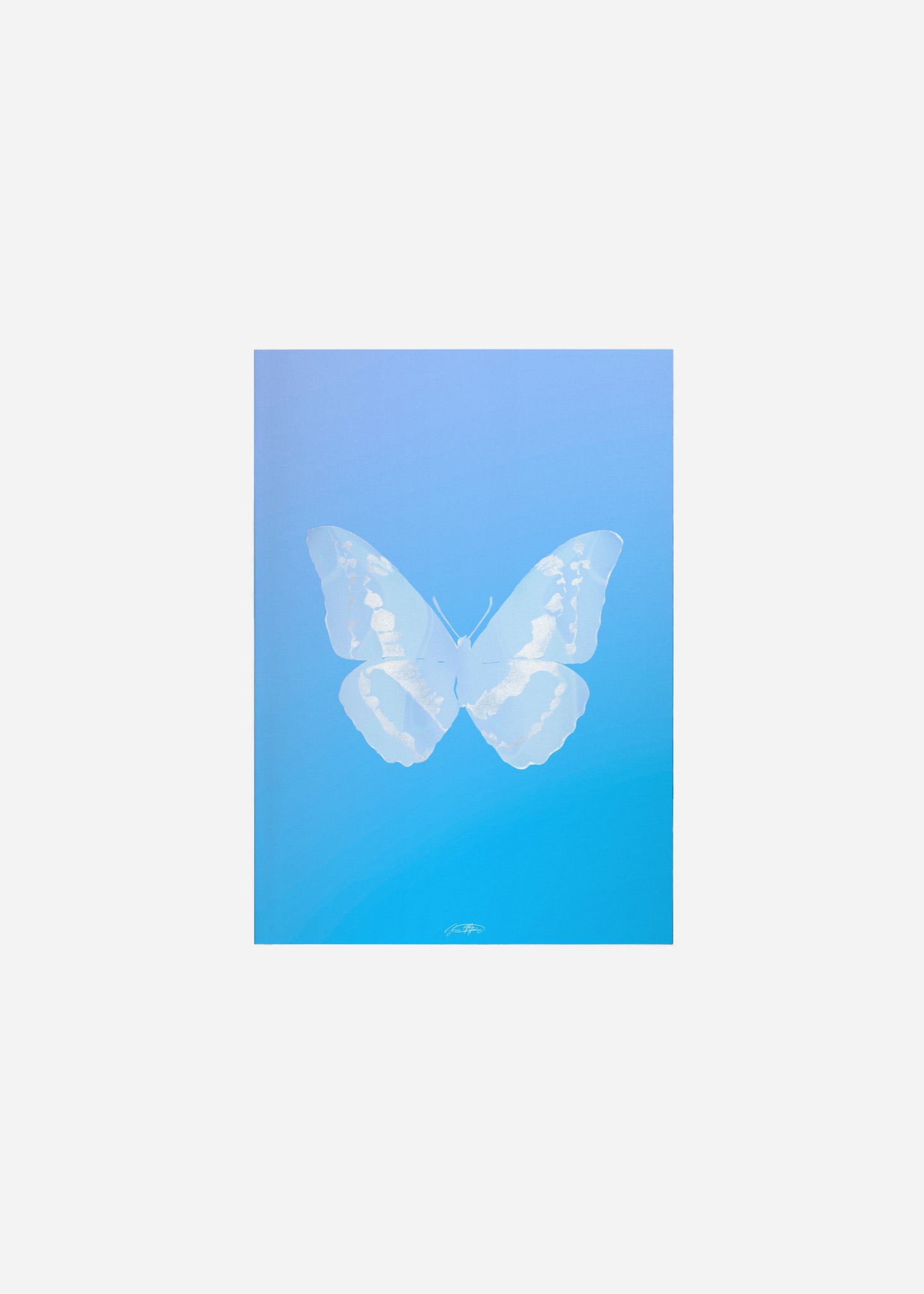 Butterflies / Psyche 113 Fine Art Print