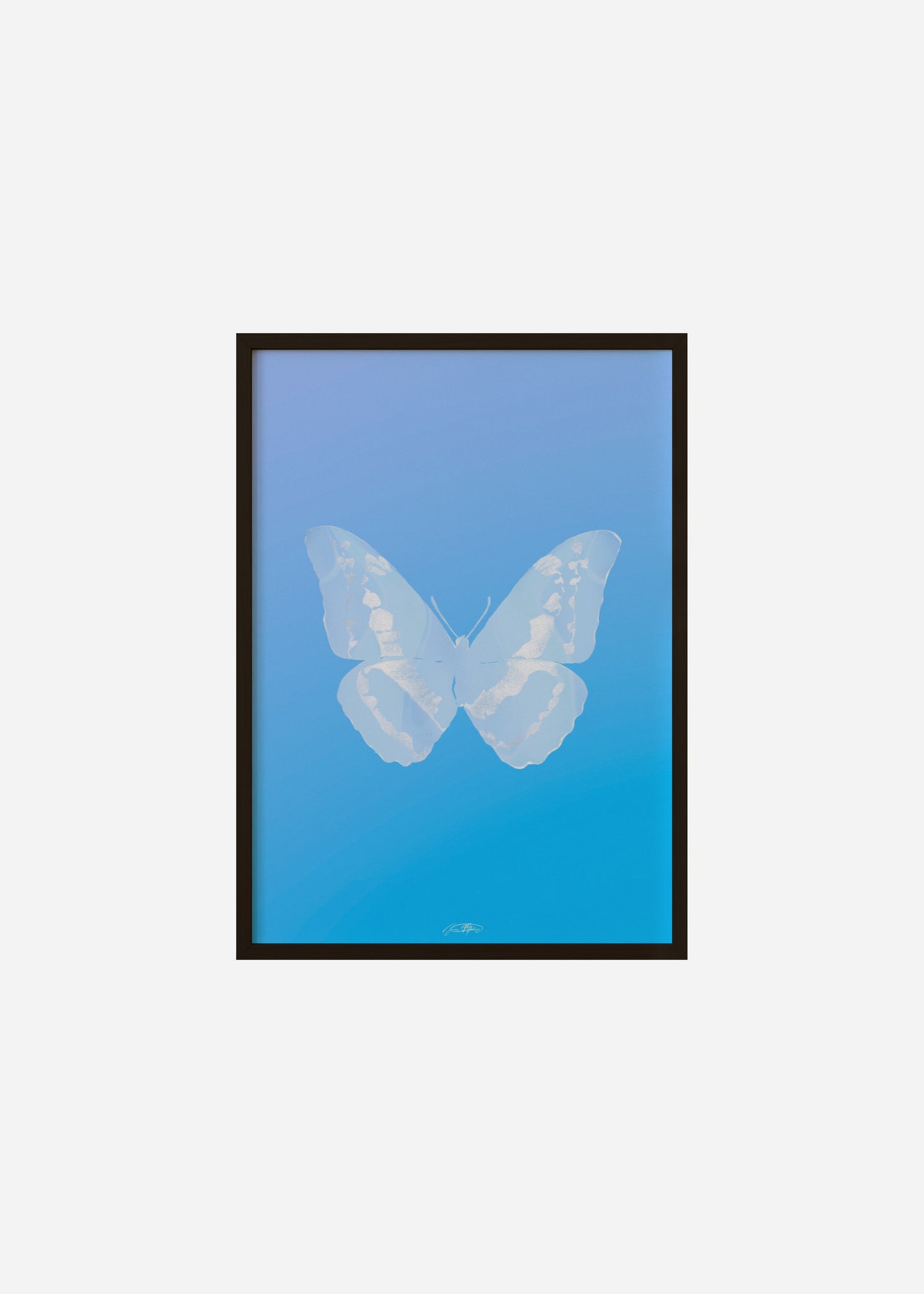 Butterflies / Psyche 113 Framed Print