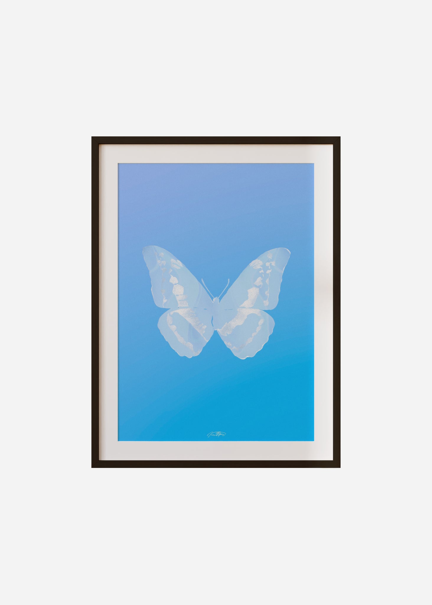 Butterflies / Psyche 113 Framed & Mounted Print