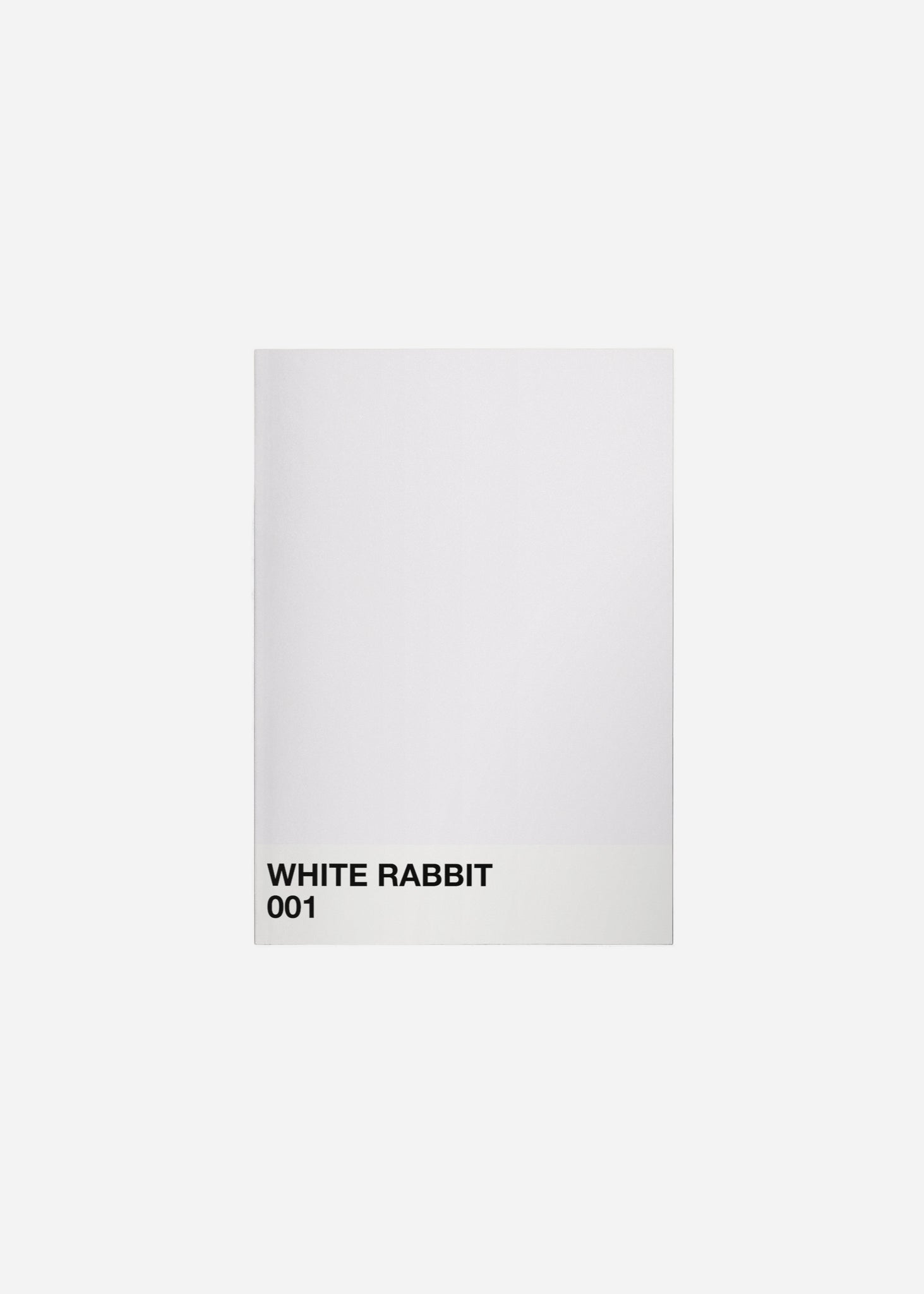 white rabbit Fine Art Print