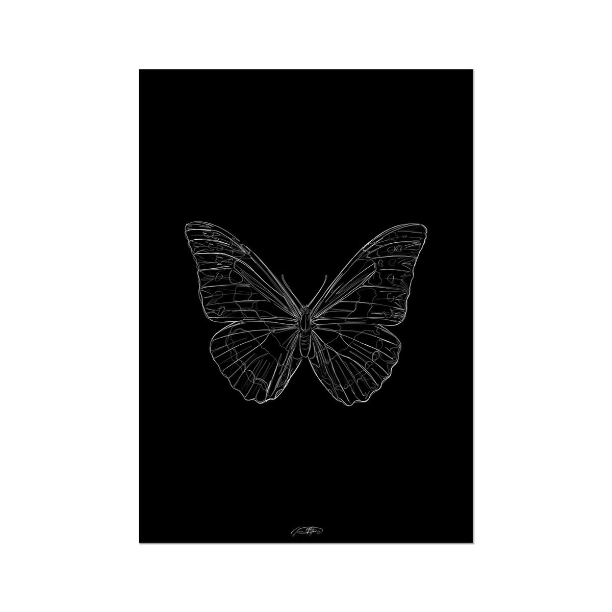 papillon III - noir / line art n.33 Fine Art Print