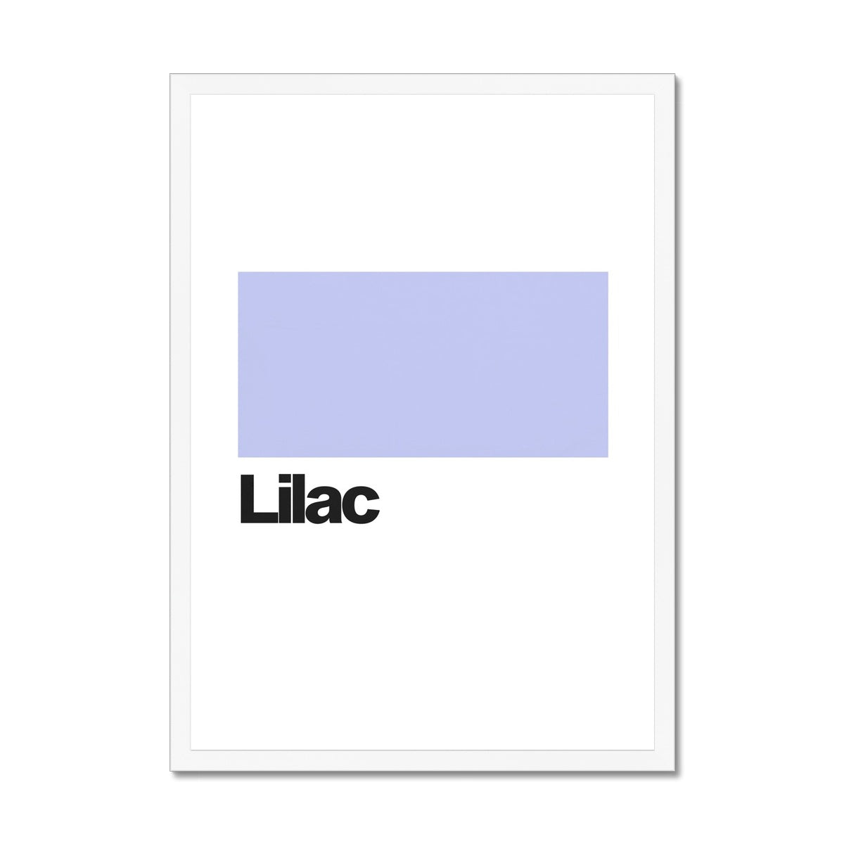 Lilac Framed Print