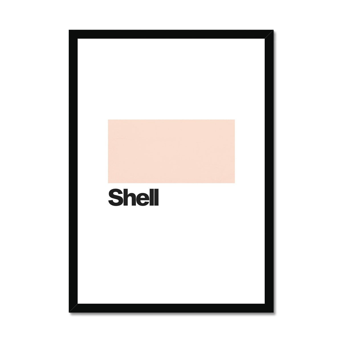 Shell Framed & Mounted Print
