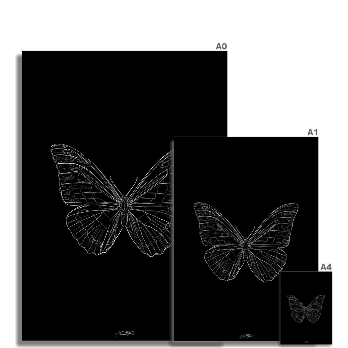 papillon III - noir / line art n.33 Fine Art Print