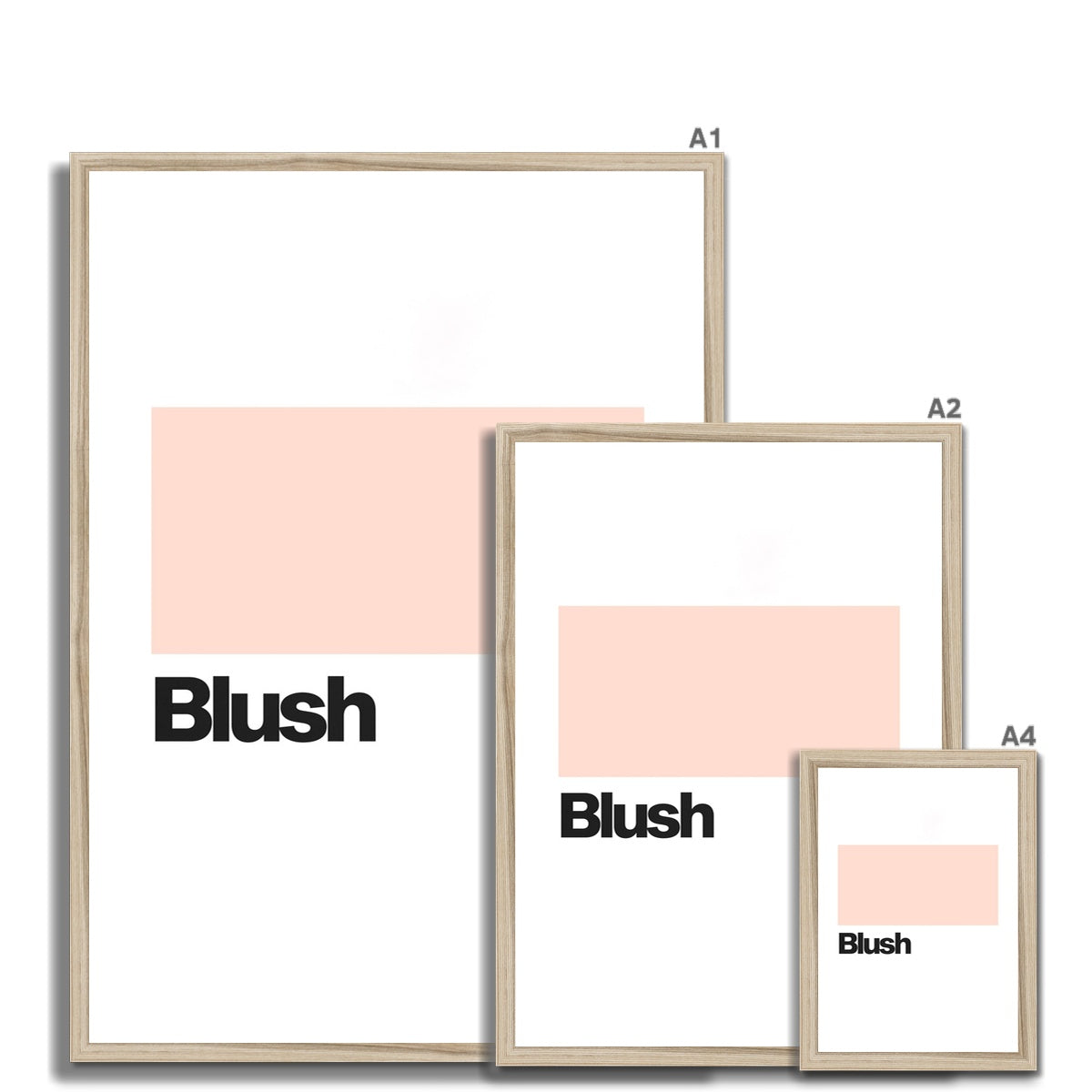 Blush Framed Print