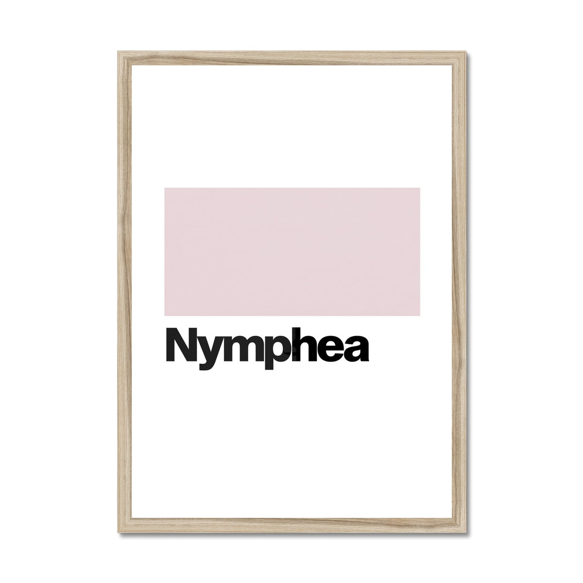 Nymphea Framed Print