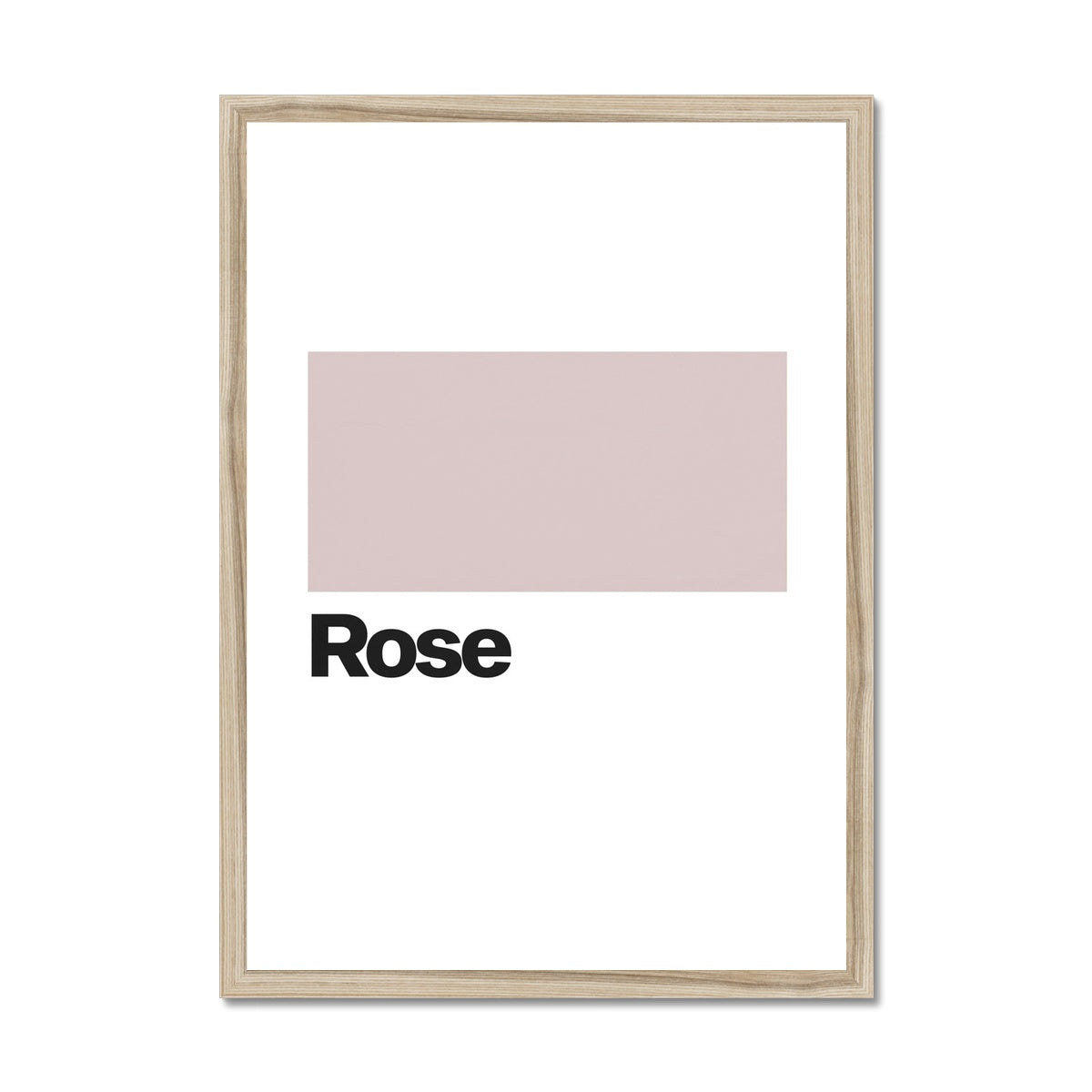 Rose Framed Print