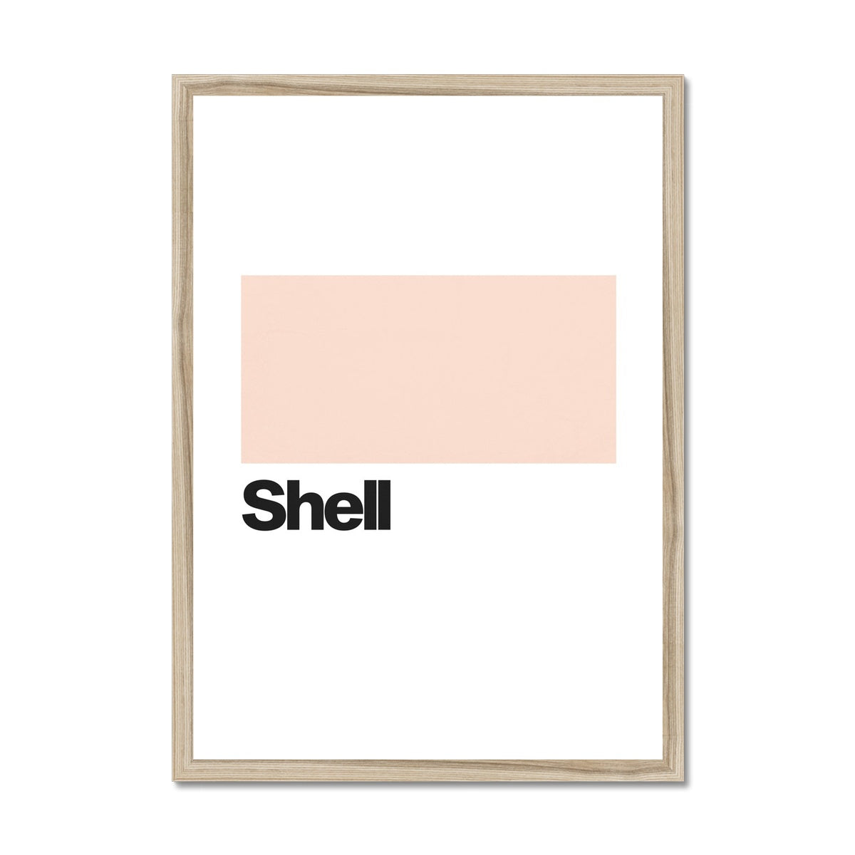 Shell Framed Print