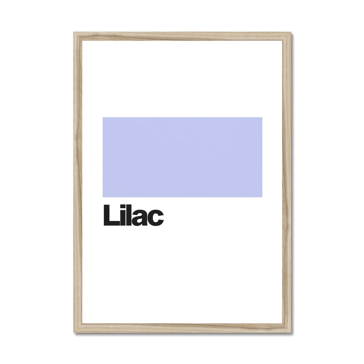 Lilac Framed Print