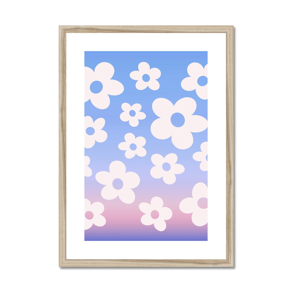 Sunset Daisies Framed & Mounted Print