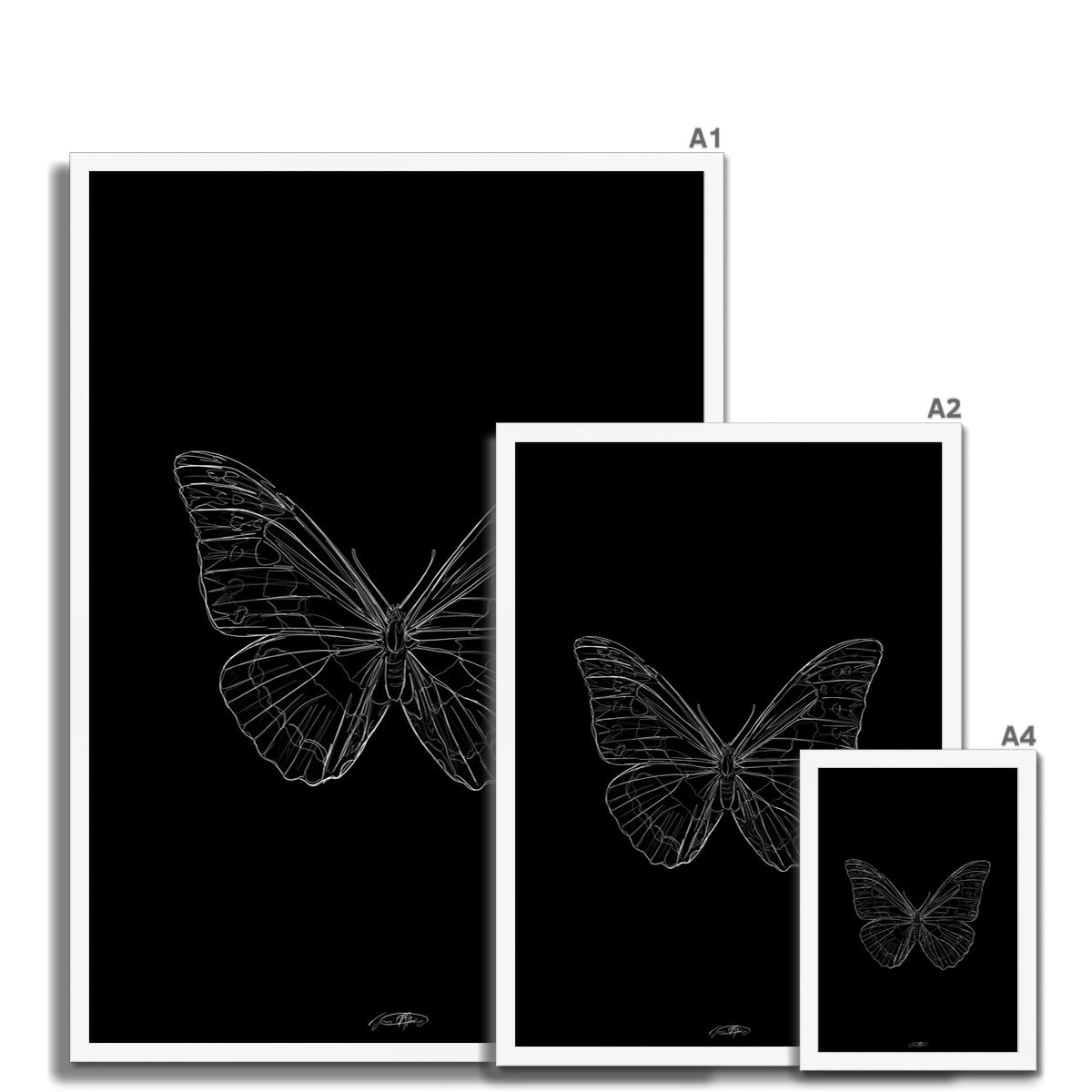 papillon III - noir / line art n.33 Framed Print